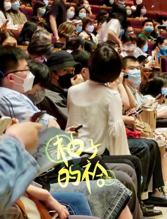 Hồ Ca, sao hoa ngữ, Tiết Giai Ngưng