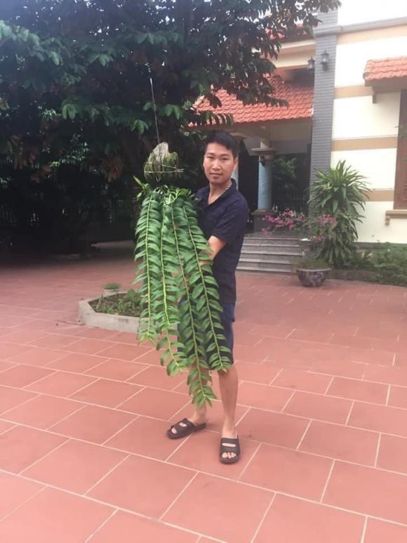 Duy Trọng Hải, hoa lan, trồng lan