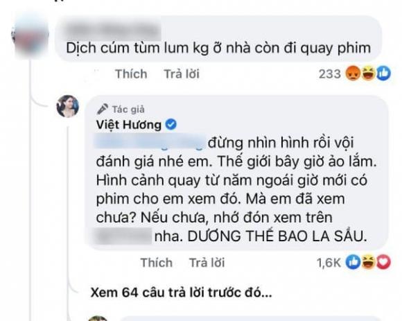 Việt Hương, Nữ diễn viên hài, sao Việt