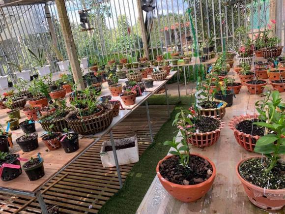 thanh-chuyen-lan-rung-116 (1).jpg 0 Nghệ nhân Nguyễn Thành Chuyên, hoa lan, trồng lan