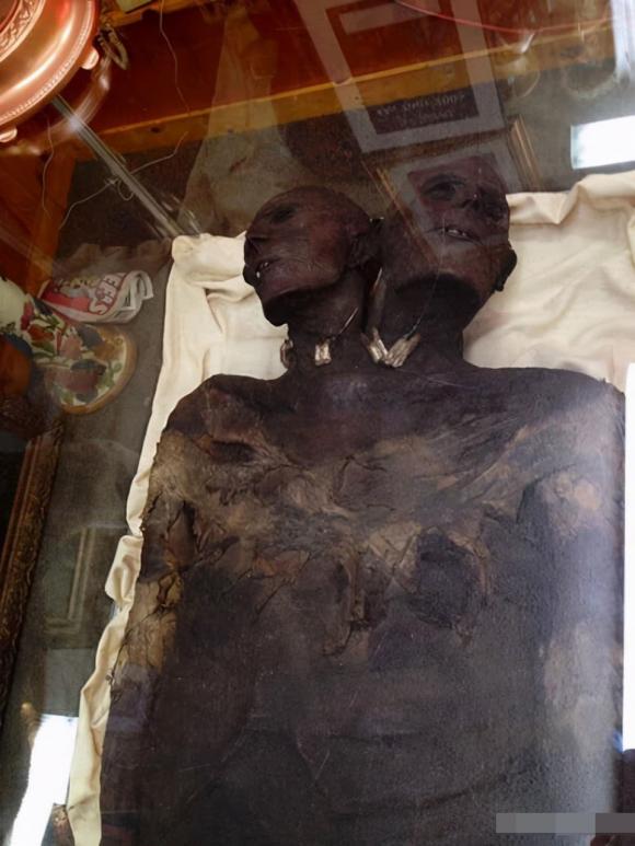 Kap DWA, người khổng lồ, xác ướp hai đầu