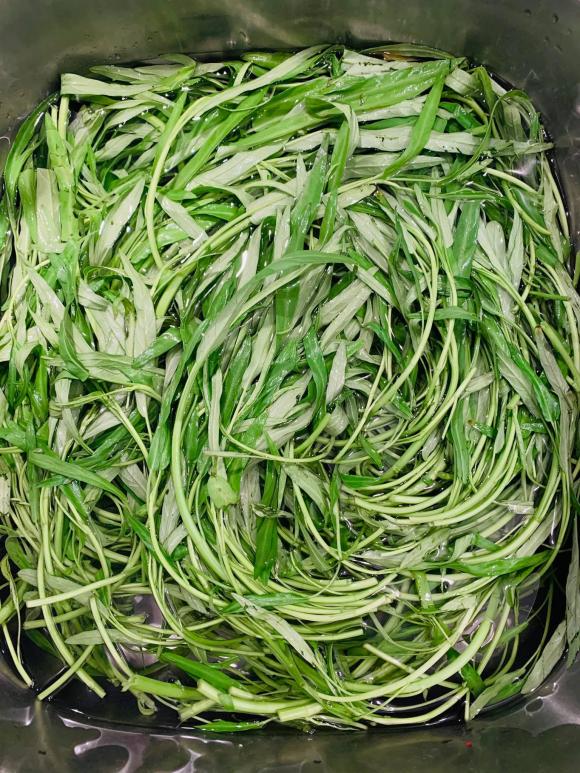 rau muống luộc, rau muống, món ngon từ rau muống
