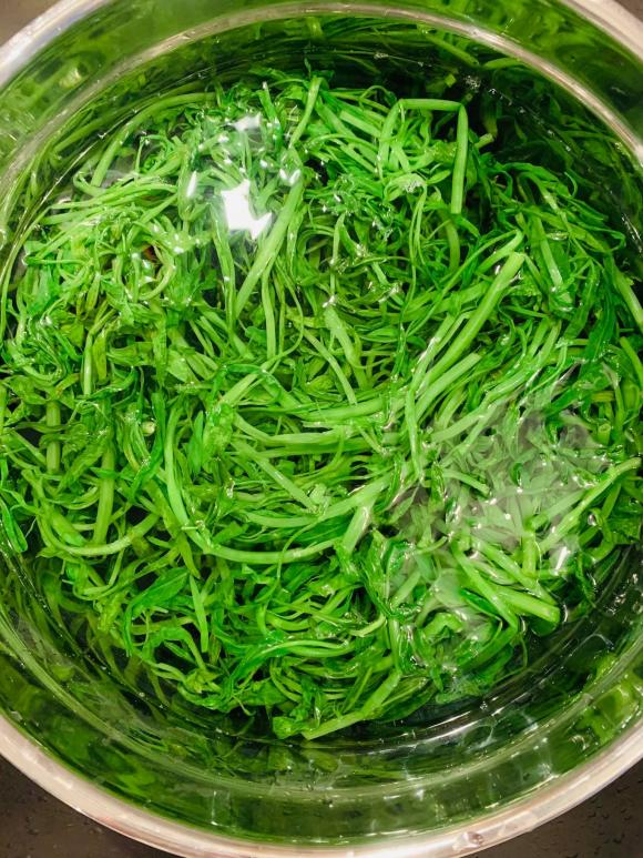 rau muống luộc, rau muống, món ngon từ rau muống