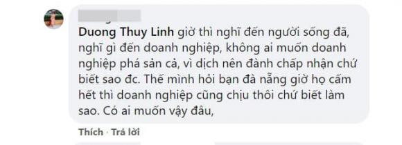 Dương Thùy Linh, Hoa hậu Dương Thùy Linh, sao Việt