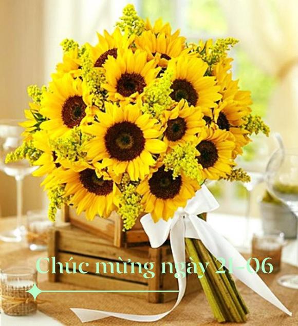Báo chí Cách mạng Việt Nam, sao chúc mừng ngày Báo chí Cách mạng Việt Nam, sao việt 