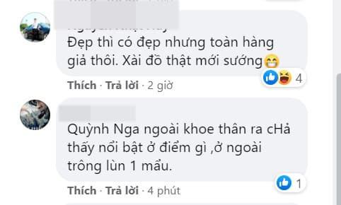 Quỳnh Nga, Việt Anh, sao Việt