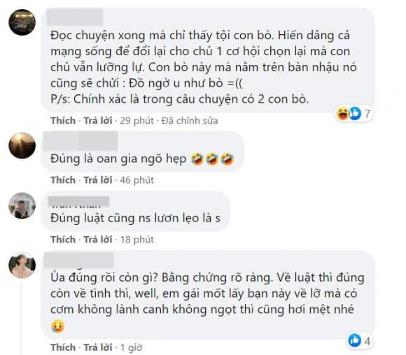 đâm xe ô tô vào bò, tai nạn giao thông, mẹ vợ tương lai