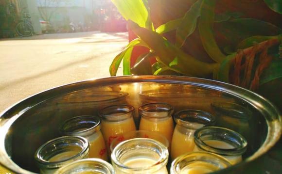 công thức làm sữa chua, đưa sữa chua phơi nắng, ủ sữa chua