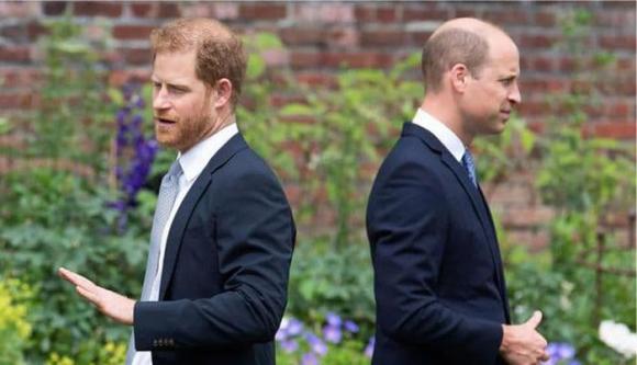 harry meghan, meghan markle, hoàng tử william