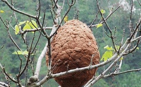 câu nói hay, câu nói ý nghĩa, câu nói dân gian