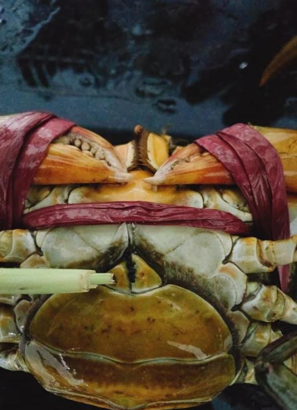 Từng ăn cua biển nhưng không phải ai cũng biết mẹo từ chế biến, đến gỡ thịt sao cho đúng cách và khử mùi tanh sau khi thưởng thức