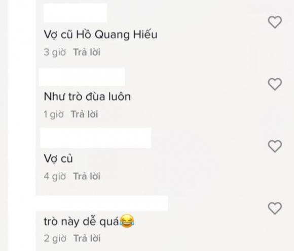 Hồ Quang Hiếu, Ivy Le, vợ cũ Hồ Quang Hiếu