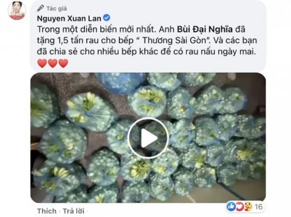 Xuân Lan, Thúy Diễm, MC Đại Nghĩa, Sao Việt