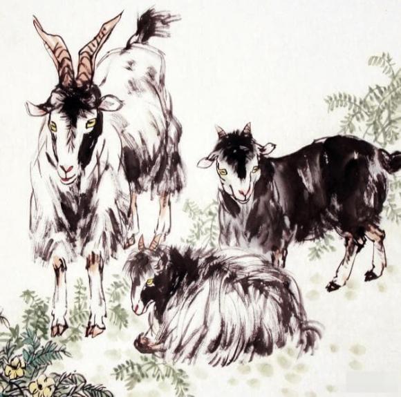 tử vi, con giáp, chiều vợ