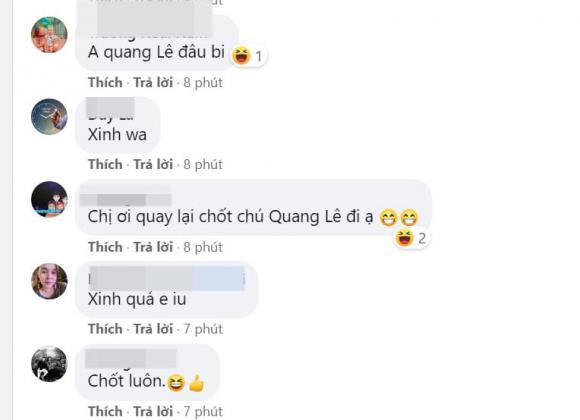 Thanh Bi, Quang Lê, sao Việt
