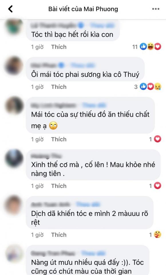 hoa hậu Mai Phương Thúy, sao Việt