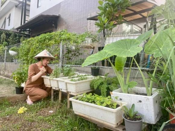 Nhật Kim Anh, diễn viên Nhật Kim Anh, nhà Nhật Kim Anh