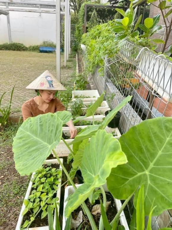 Nhật Kim Anh, diễn viên Nhật Kim Anh, nhà Nhật Kim Anh