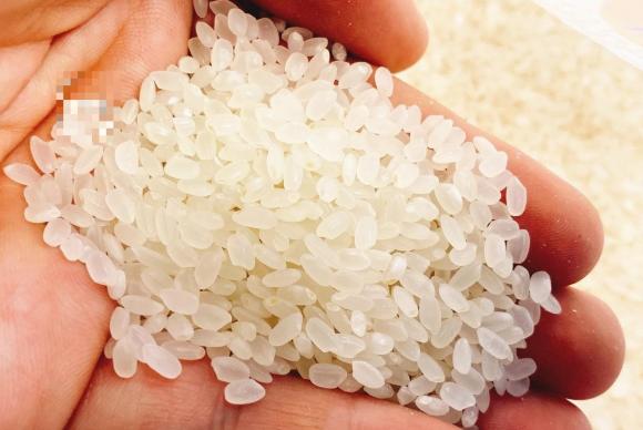 bảo quản gạo, cách bảo quản gạo đúng cách, bảo quản gạo đúng cách