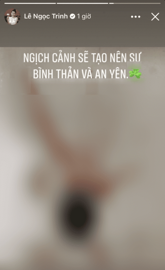 lê ngọc trinh, sao việt