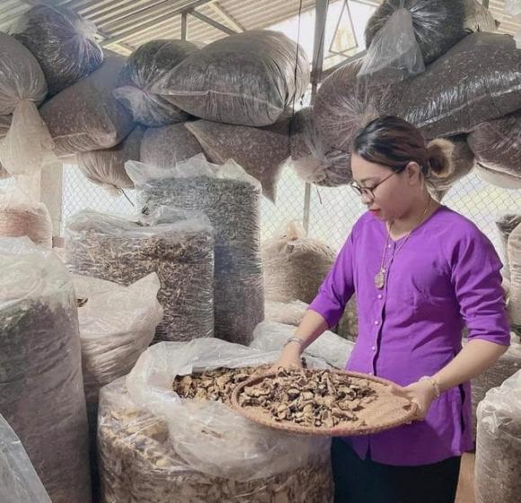 luong-y-nguyen-thi-thai-58 (1).jpg 0 Lương y Nguyễn Thị Thái, thuốc nam, thuốc dân tộc