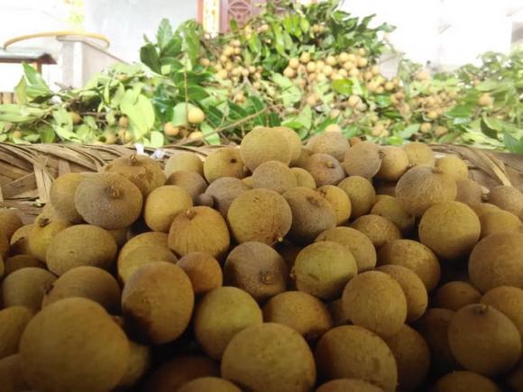 long nhãn, tự làm long nhãn, mẹo hay, quả nhãn