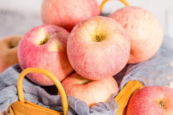 ăn táo, có nên ăn táo tối, sức khỏe, trái cây