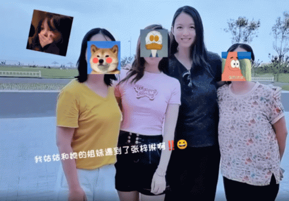 trương tử lâm, sồ sề, sao hoa ngữ