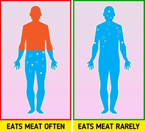 thịt, protein, dấu hiệu ăn quá nhiều thịt, tiêu thụ quá nhiều thịt,