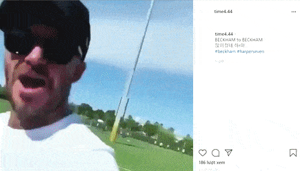 harper seven, david beckham, mũm mĩm, sao hollywood