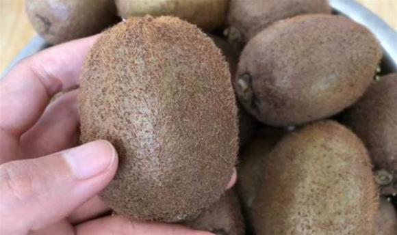 kiwi, mẹo hay, làm chín kiwi