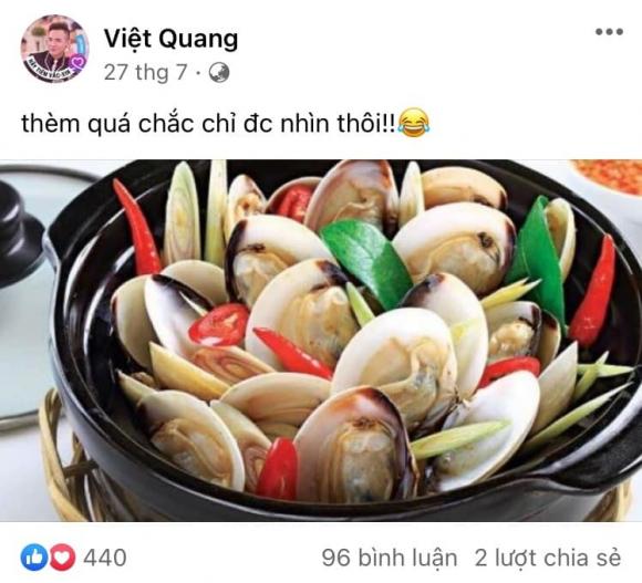 ca sĩ Việt Quang, sao Việt