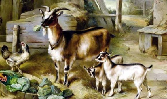 tử vi 12 con giáp, tử vi năm 2021, con giáp may mắn
