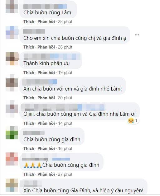 Hoa hậu Thùy Lâm, Sao Việt, Thùy Lâm,