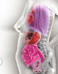 phụ nữ sau sinh, sao nữ, giảm cân sau sinh