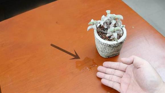 bàn cà phê, cách sắp xếp đồ đạc sai, bàn trà