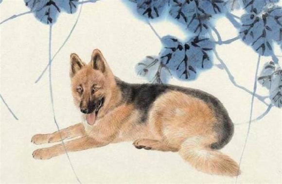 con giáp, tử vi, nhâm thân, canh ngọ, nhâm tuất, năm sinh may mắn
