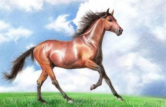 con giáp, tử vi, nhâm thân, canh ngọ, nhâm tuất, năm sinh may mắn