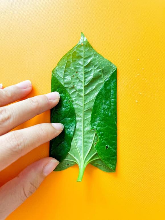 chả ốc cuốn lá lốt, công thức chả ốc cuốn lá lốt, món ngon từ ốc