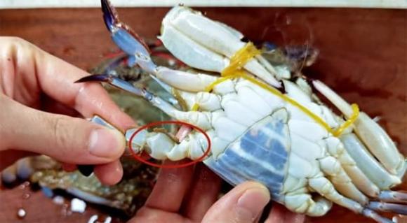 cách chọn ghẹ ngon, cách chọn cua ghẹ ngon, chọn cua ghẹ ngon