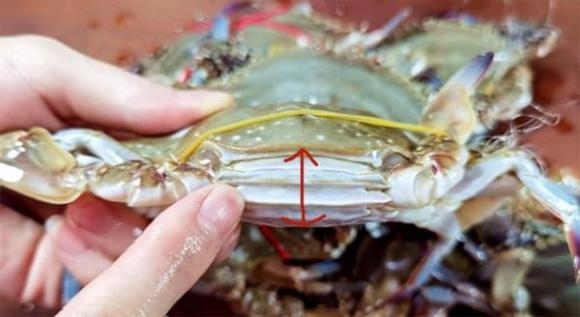 cách chọn ghẹ ngon, cách chọn cua ghẹ ngon, chọn cua ghẹ ngon