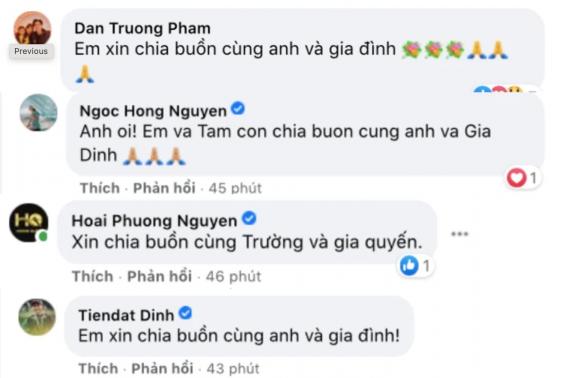 ca sĩ Lam Trường, sao Việt