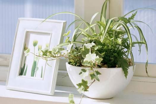 đầu giường, thói quen xấu, giấc ngủ