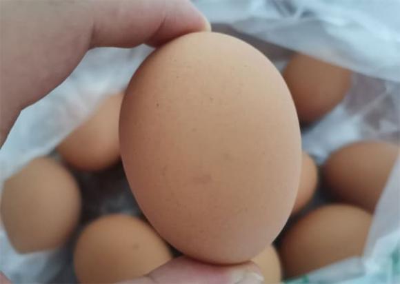 cách chọn trứng, cách chọn trứng ngon, mẹo chọn trứng ngon