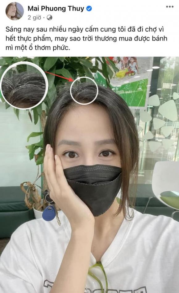Trà My idol, tóc bạc, sao Việt
