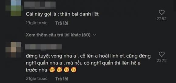 NSƯT Hoài Linh, Sao Việt, Nam danh hài