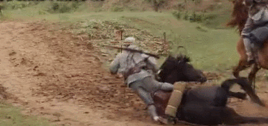 Ngô Kinh, sao phim võ thuật, sao hoa ngữ