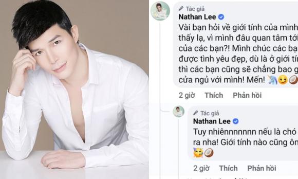 nam ca sĩ nathan lee,Ca sĩ Nathan Lee, sao Việt