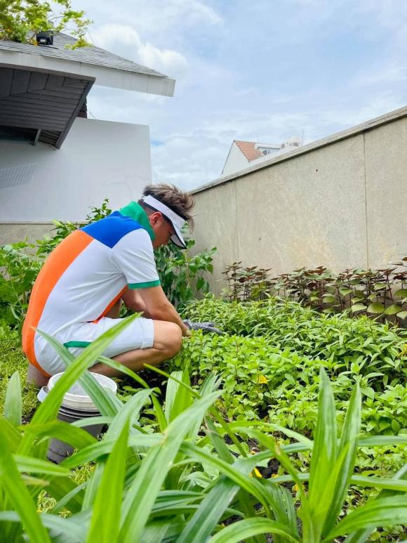 Những khu vườn rau củ quả xanh mướt ‘siêu to’ của loạt sao Việt trong mùa dịch