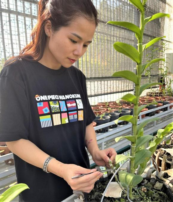 co-giao-ta-thi-quyen-179 (1).jpg 0 Cô giáo Tạ Thị Quyên, Hoa lan